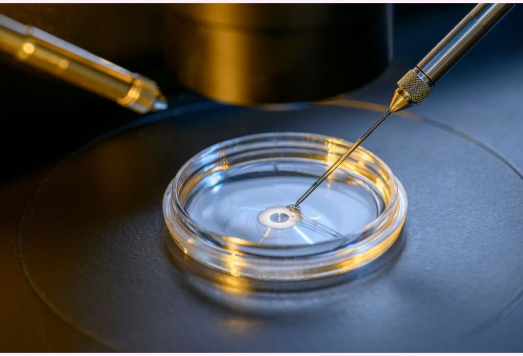 What Happens During an IVF Procedure?
